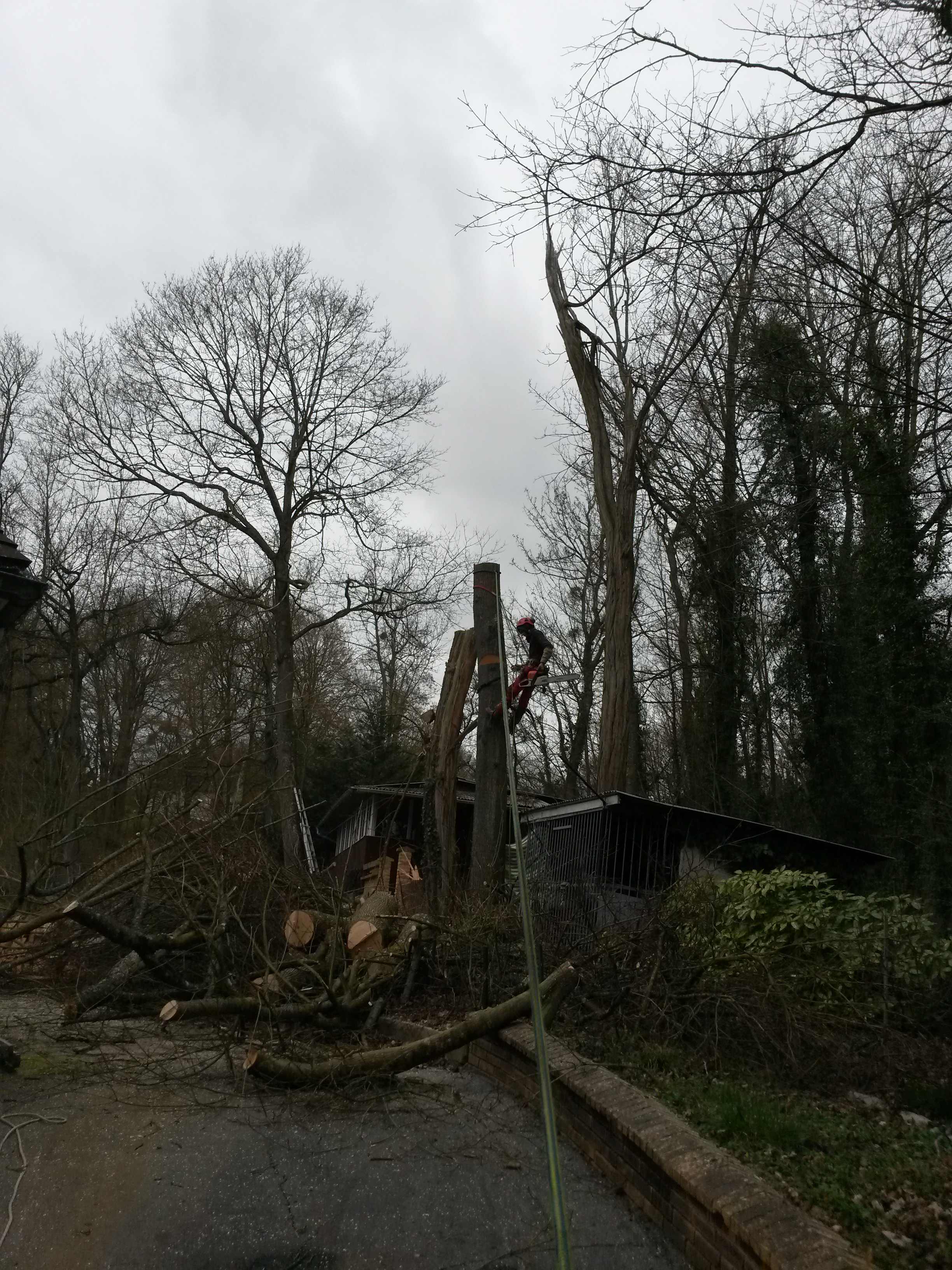 elagage abattage La Ferté sous Jouarre 77260